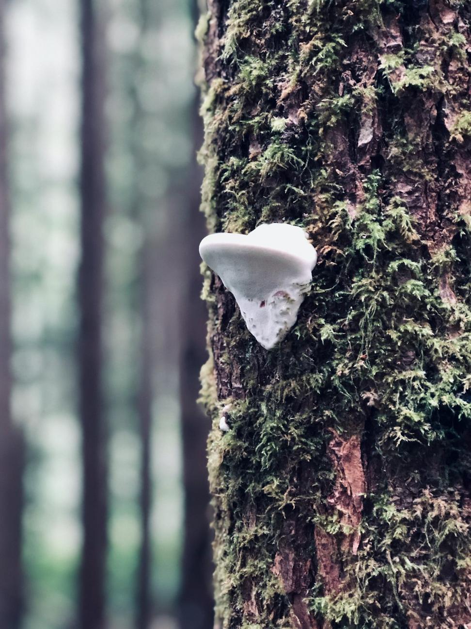 Privacy and Protection